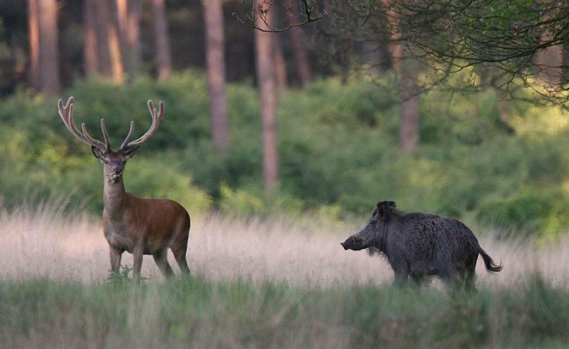 In Het Koetshuis Apeldoorn Dış mekan fotoğraf